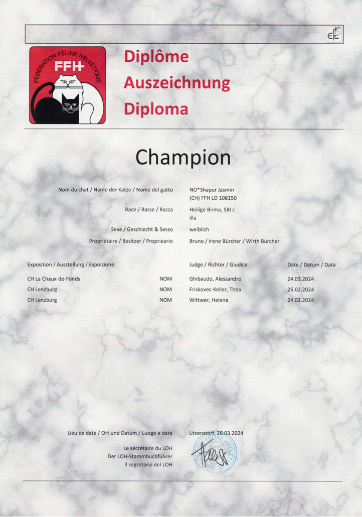 Jasmin Champion Heilige Birma