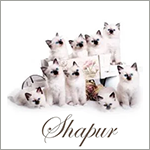 shapurnet Heilige Birma