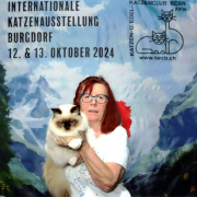 Fotobox 1 Heilige Birma