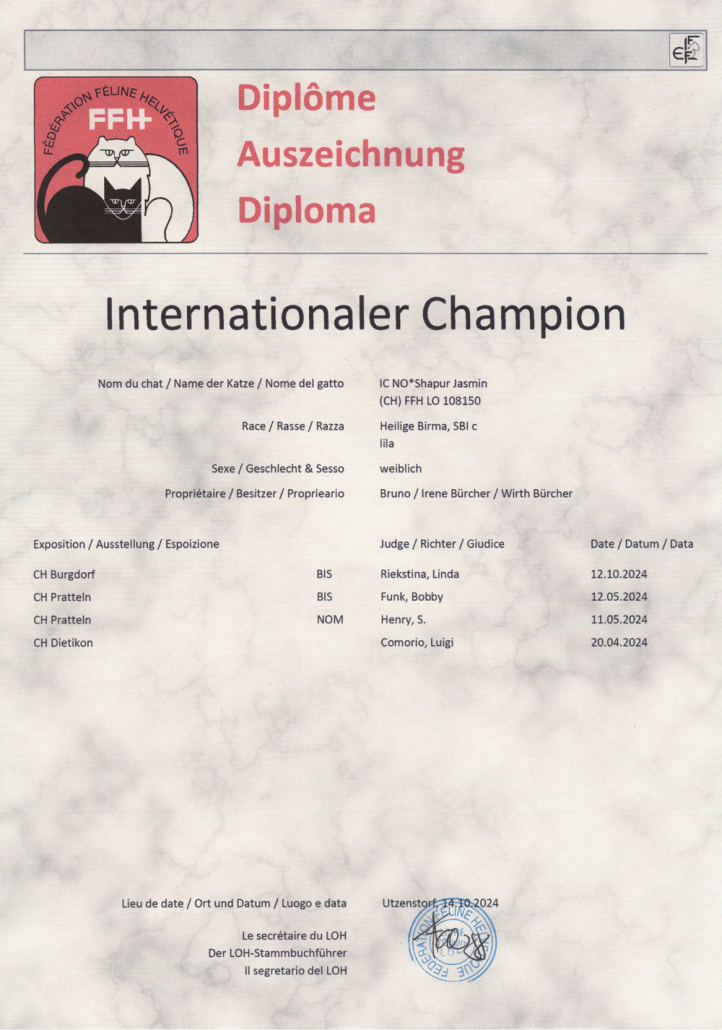 Jasmin Internationaler Champion HP Heilige Birma