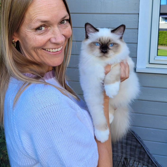 Neptun 5Mt Good luck with your new family Heilige Birma